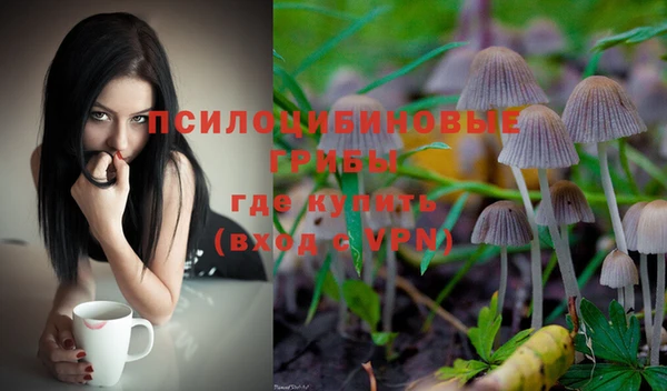 прущие крисы Пестово