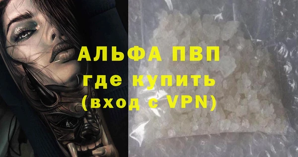 дживик Переславль-Залесский