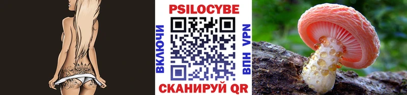 Псилоцибиновые грибы MAGIC MUSHROOMS  где купить   Шумиха 